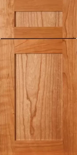 Shaker - DLX - 1900 Series Cabinet Door