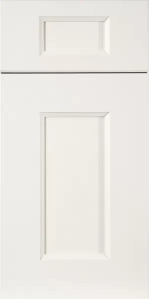 Springfield - DLX - 1900 Series Cabinet Door