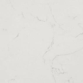 MSI Q Quartz Carrara Delphi Countertop Slab