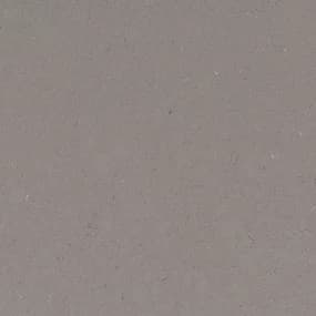 MSI Q Quartz Fossil Gray Countertop Slab