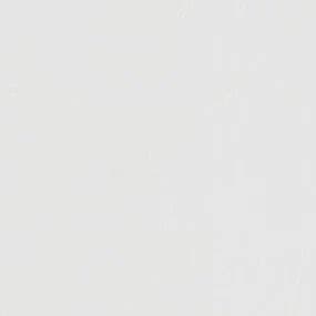 MSI Q Quartz Perla White Countertop Slab