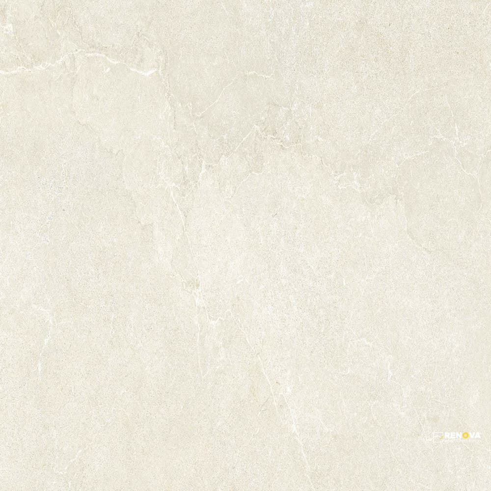 UNICA MATTE 24" X 48"