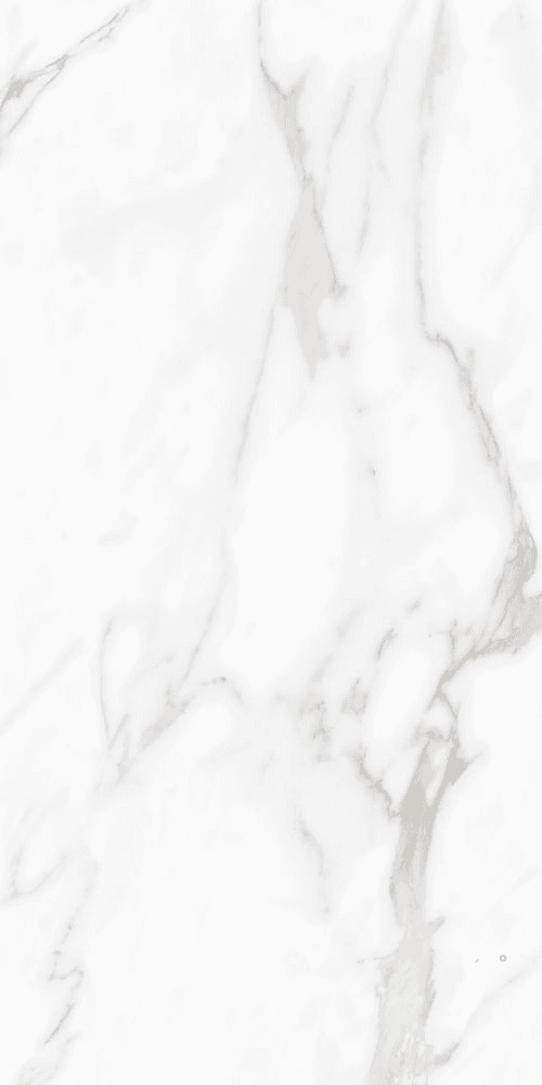 CARENZA BIANCA MATTE 24" X 48"