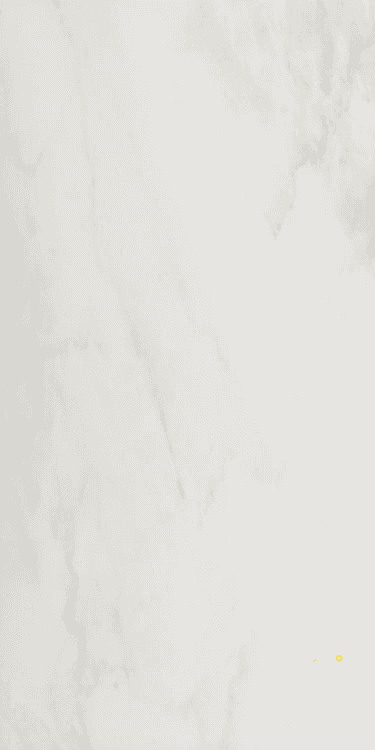 EC SNOW MATTE 24" X 48"