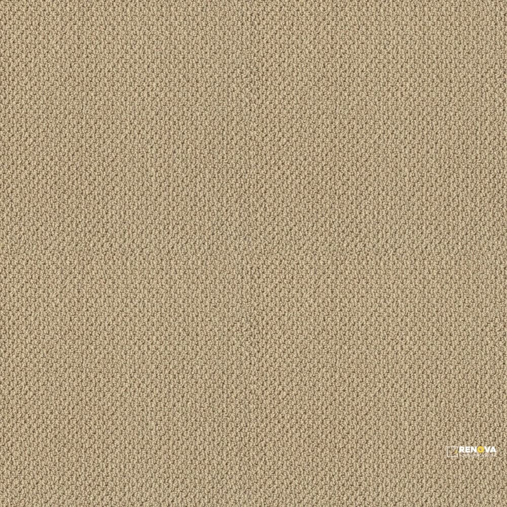 DETAILED ART LOOP