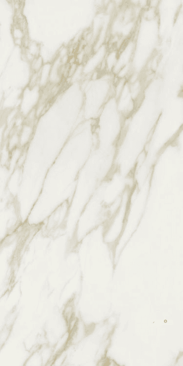 ETOILE CREME GLOSSY 24" X 48"