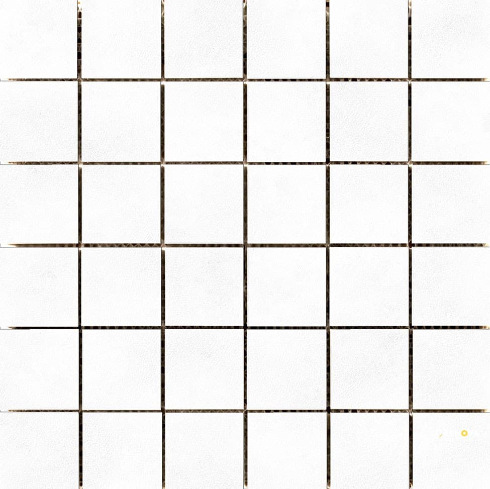 CITIZEN MATTE/SATIN MOSAIC 12X12