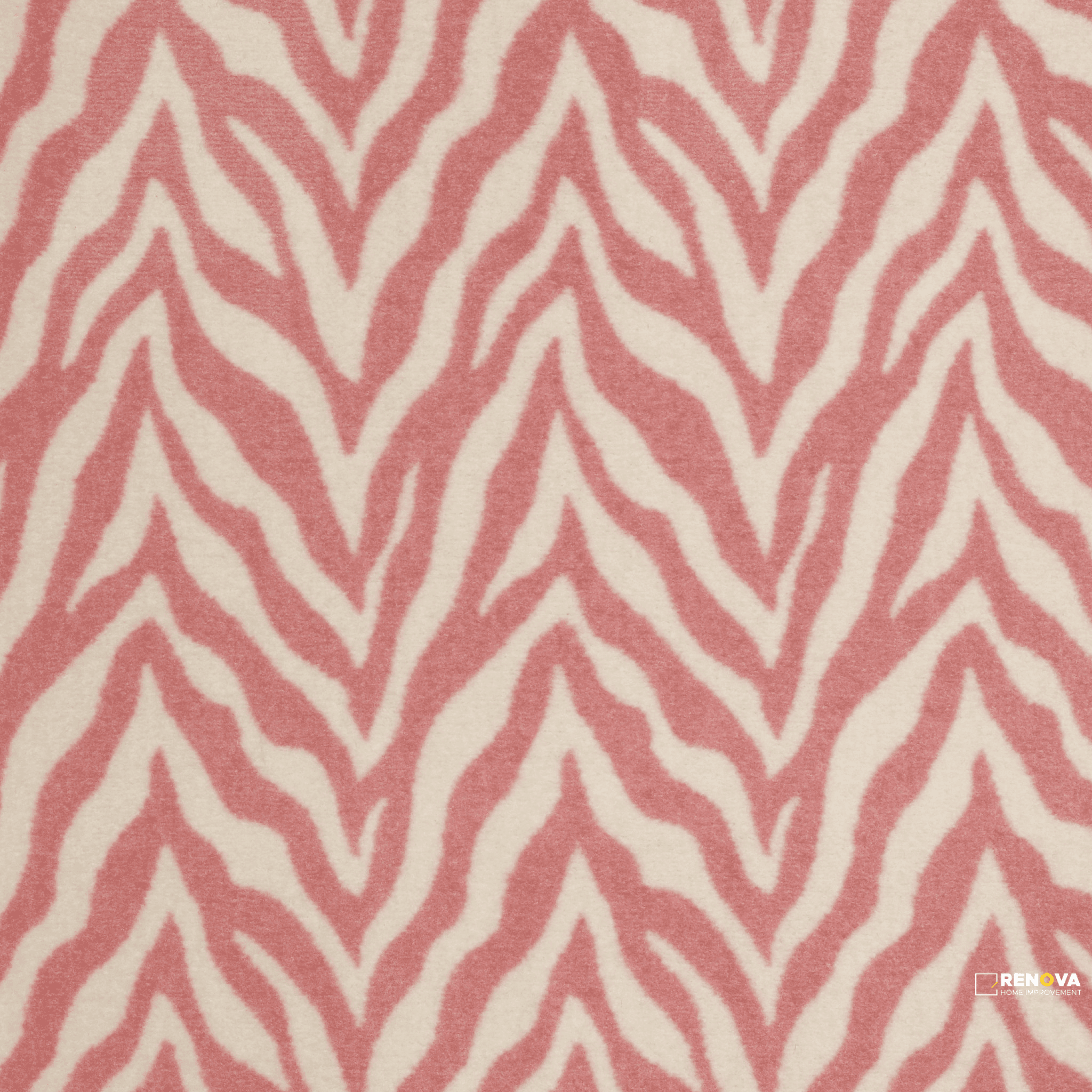ZESTY ZEBRA