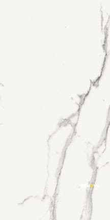 PRECIOUS HDP MATTE FIELD TILE 12" X 24"