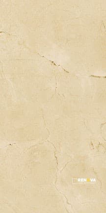 ENCHANT MATTE FIELD TILE 12" X 24"