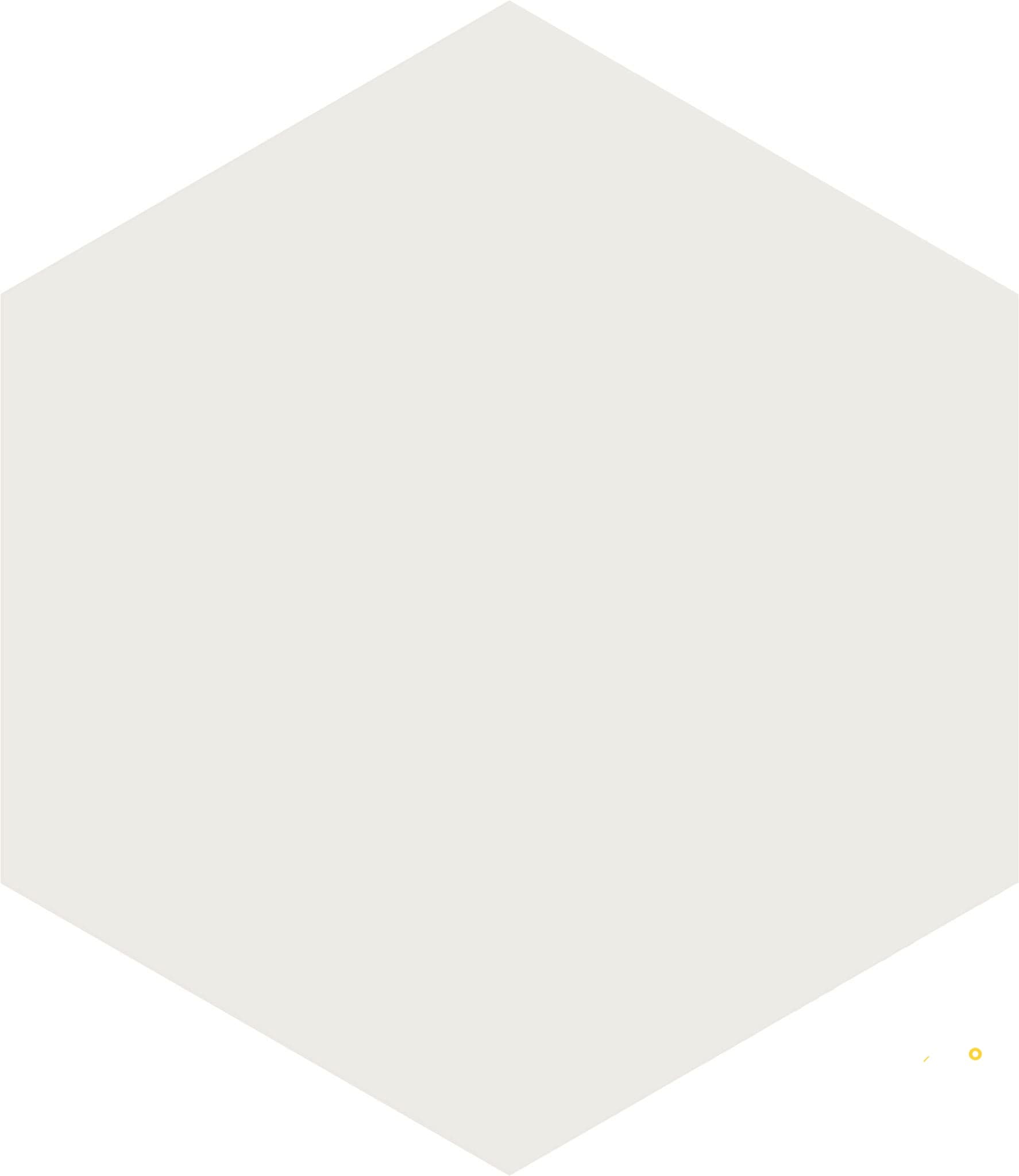 PAROS HEX 8-1/2" X 10"