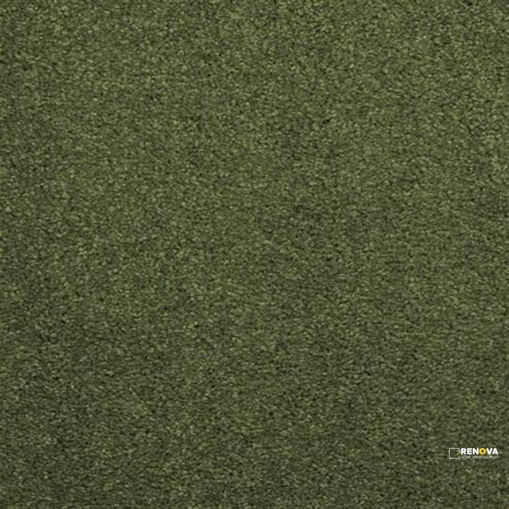 EMBRACE - 9501
