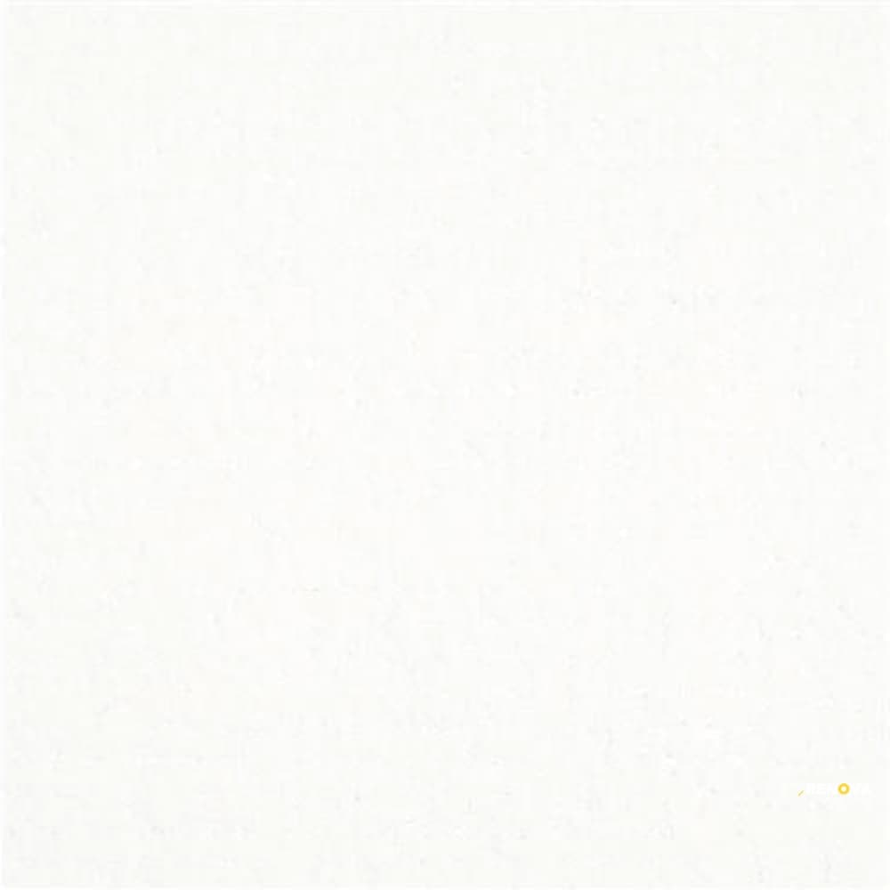 MATISSE - 9493