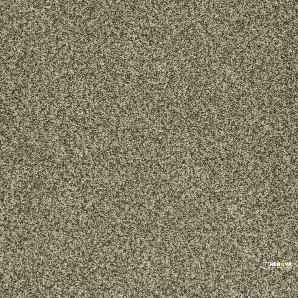 BRAZEN I - 6240