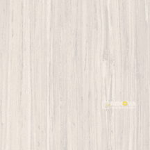 AINSLEE PARK FIELD TILE MATTE 12" X 12" - FLOTIL1001