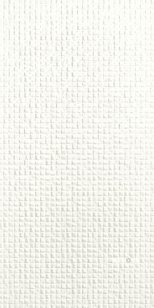 AMPLIFY GLOSSY WALL TILE G2 12" X 24"