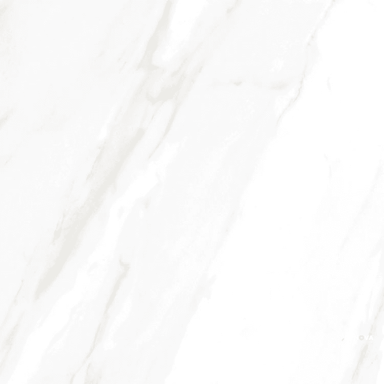 EC CALACATTA GOLD POLISHED 24" X 24" - ELYTIL1746