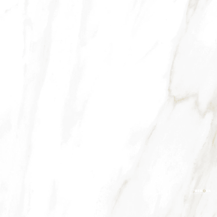 EC CALACATTA GOLD MATTE 24" X 24" - ELYTIL1744