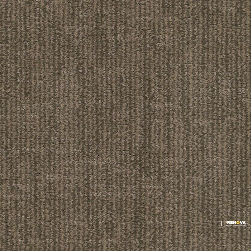 TABBY - D066