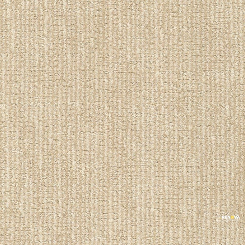 TABBY - D066