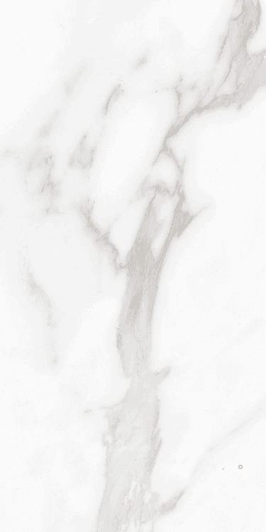 CARENZA BIANCA MATTE 12" X 24"