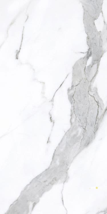 PRESTIGIO STATUARIO LUCIDO 24" X 48"