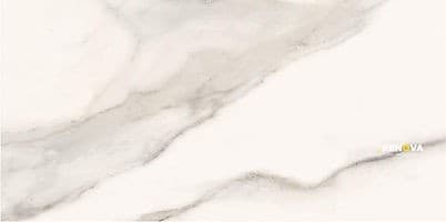 MARMO REALE POLISHED 12" X 24"