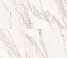 MARMO REALE MATTE 24" X 24" - ZCOLTIL5669