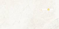 BLENDED MATTE 12" X 24"