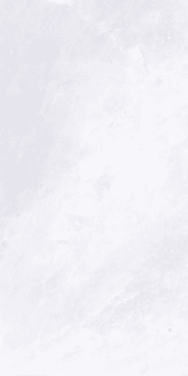 ARCHISALT FLOWER OF SALT LUX 24" X 48"