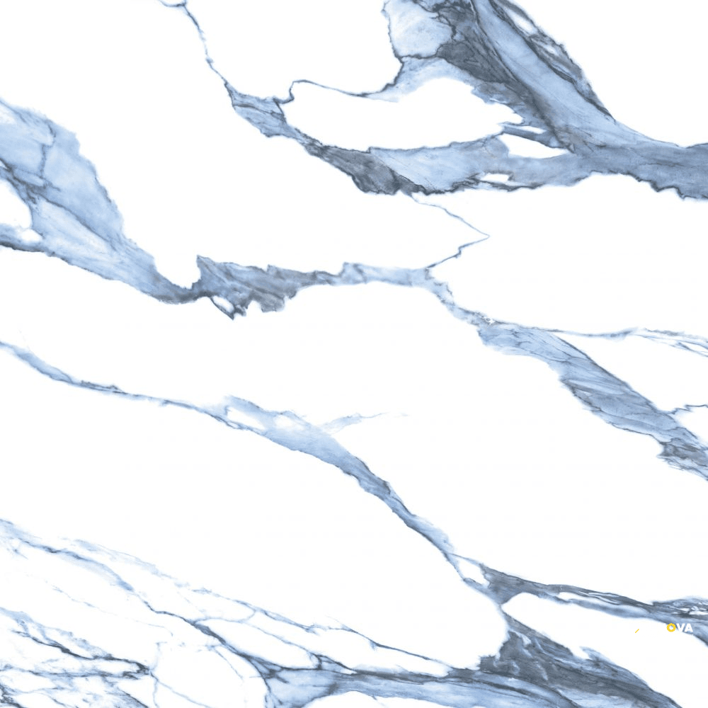 CALACATTA BLUE MATTE 48" X 48"