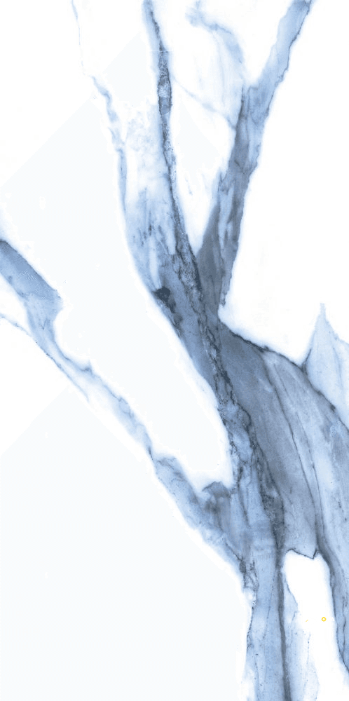 CALACATTA BLUE POLISHED 12" X 24"