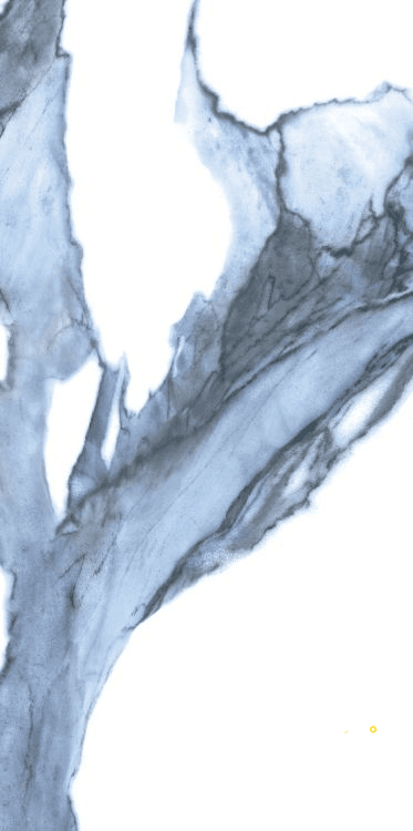 CALACATTA BLUE MATTE 12" X 24"