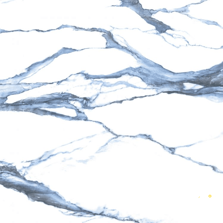 CALACATTA BLUE POLISHED 48" X 48"