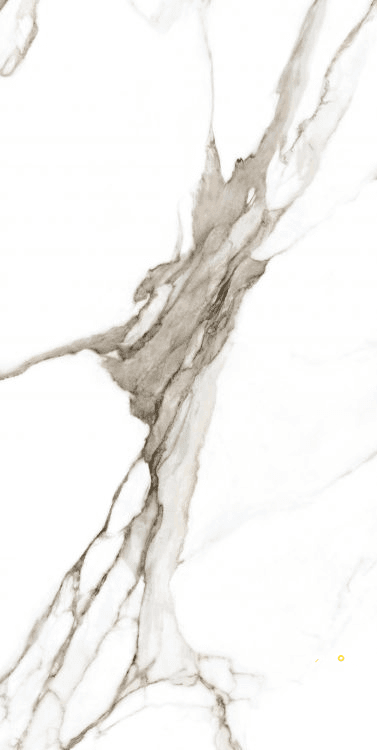 CALACATTA FANTASY TOPO POLISHED 24" X 48"