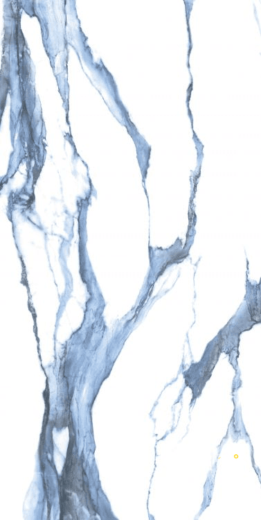 CALACATTA BLUE POLISHED 24" X 48"