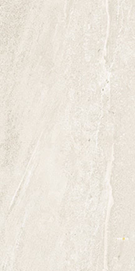 TEMPO MATTE FIELD TILE 12" X 24"