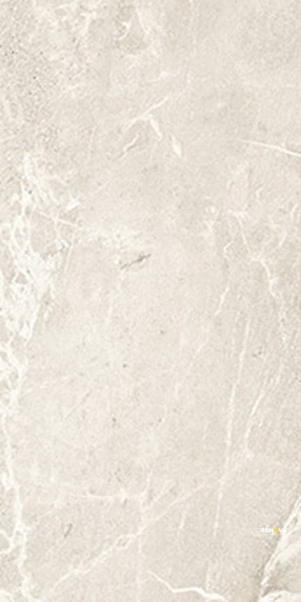 TEMPO MATTE FIELD TILE 12" X 24"