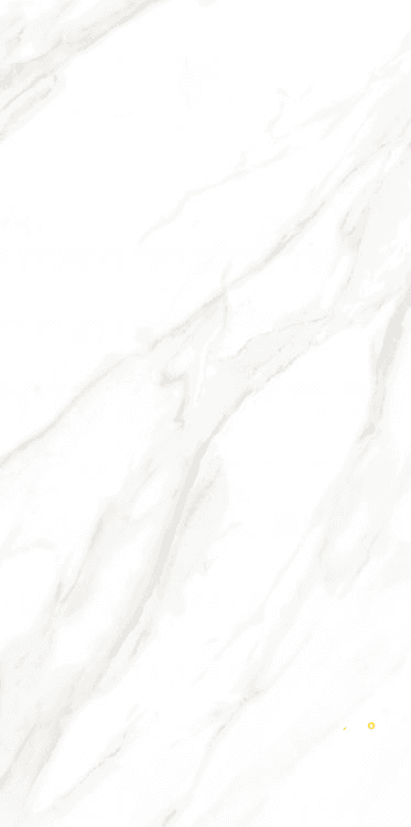 EC CALACATTA GOLD MATTE 24" X 48" - ELYTIL1560