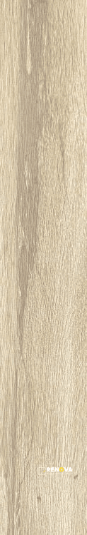 PLANCHES AMANDE 6" X 36" - ELYTIL1496