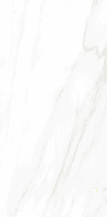 EC CALACATTA GOLD POLISHED 24" X 48" - ELYTIL1563