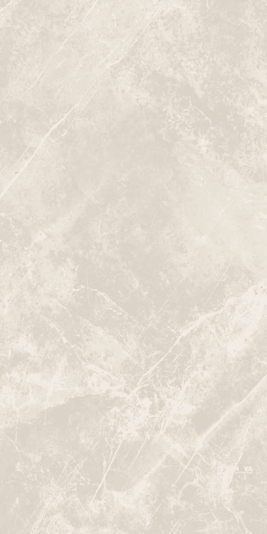 DOLOMIA WHITE LUCIDO 24" X 48" - ELYTIL1554