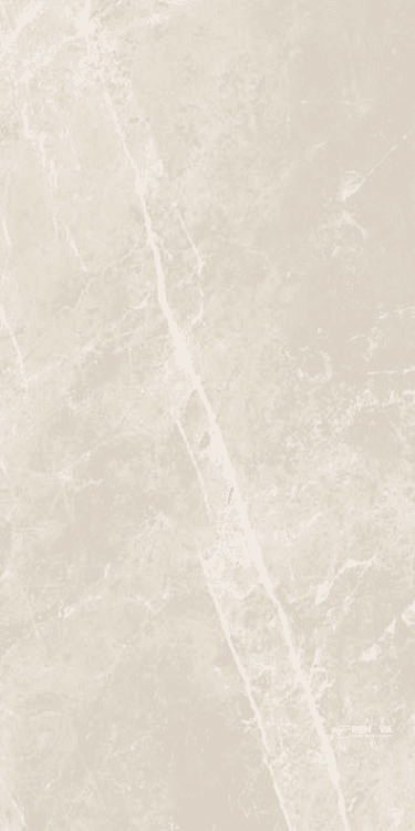 DOLOMIA WHITE NATURAL 24" X 24" - ELYTIL1556