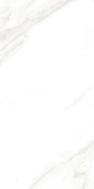 EC CALACATTA GOLD MATTE 12" X 24" - ELYTIL1686