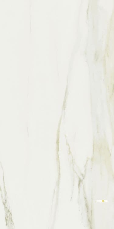 CLASSICI CALACATTA GOLD GLOSSY 24" X 48" - ELYTIL1319