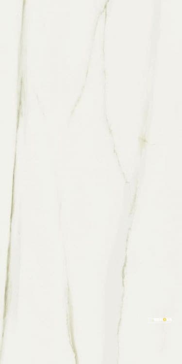 CLASSICI CALACATTA GOLD MATTE 24" X 48" - ELYTIL1464