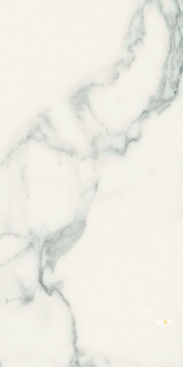 CLASSICI STATUARIO SOFT 24" X 48" - ELYTIL1469