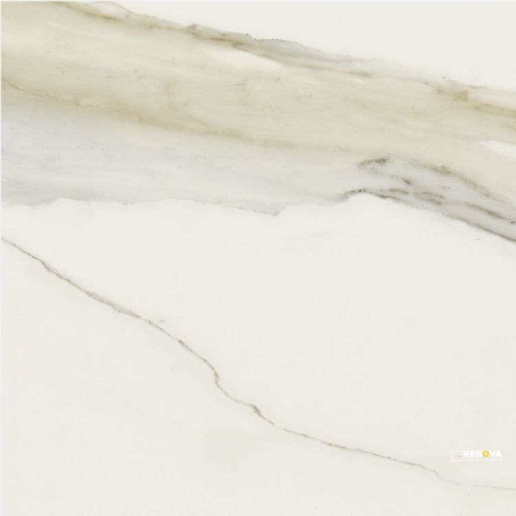 CLASSICI CALACATTA GOLD MATTE 24" X 24" - ELYTIL1463