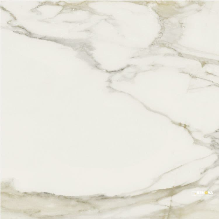 CLASSICI CALACATTA GOLD GLOSSY 24" X 24" - ELYTIL1318