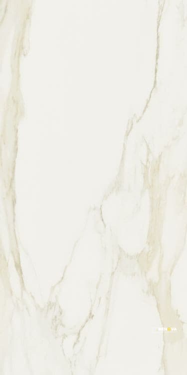 CLASSICI CALACATTA GOLD GLOSSY 32" X 71" - ELYTIL304